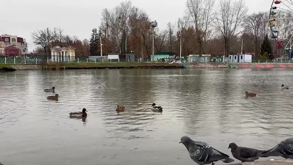 По информации ЕДДС и данным Мордовского центра по гидрометеорологии и мониторингу окружающей среды