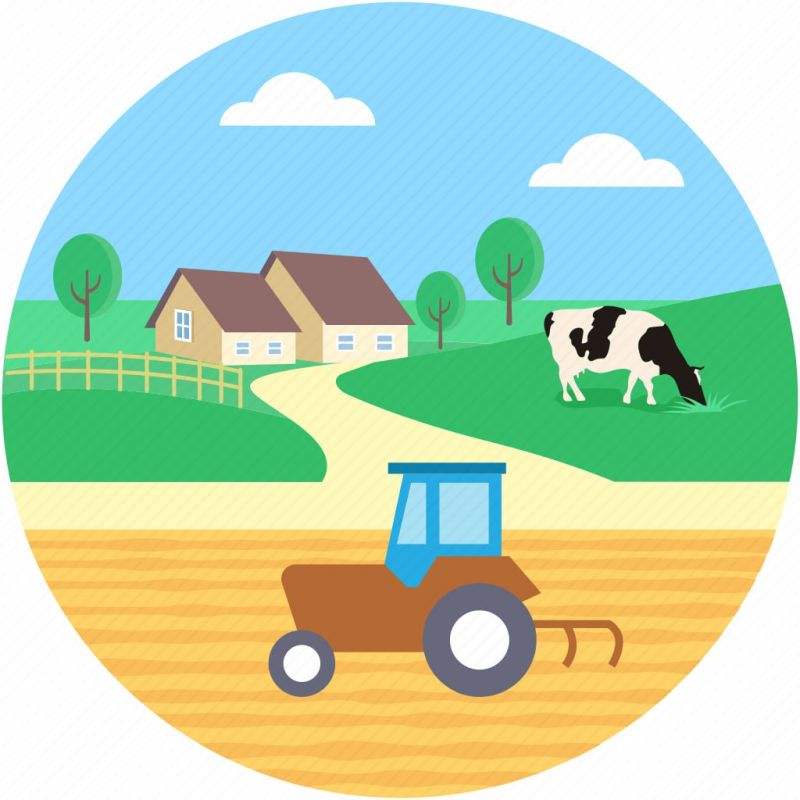 Глава РМ: "Аграрии снова в плотную приблизились к рекордной отметке по сбору зерна