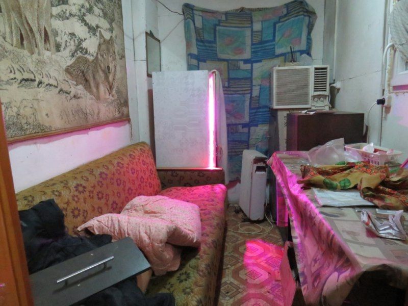 В Саранске завершено расследование уголовного дела в отношении уроженца Азербайджана, обвиняемого в незаконном хранении наркотиков