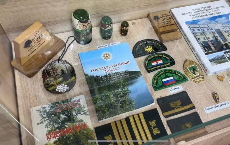 В республике открыли первый музей леса