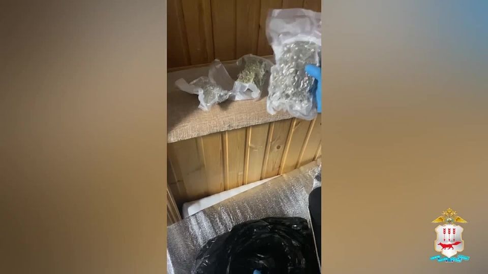 Оперативники УНК обнаружили в квартире местного жителя более 180 граммов марихуаны, спрятанной в пакетах для вакууматора