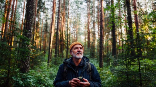 Как не заблудиться в лесу: простые советы по безопасности и выживанию