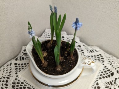 Почему неухоженные дороги в чужих садах раздражают: взгляд со стороны