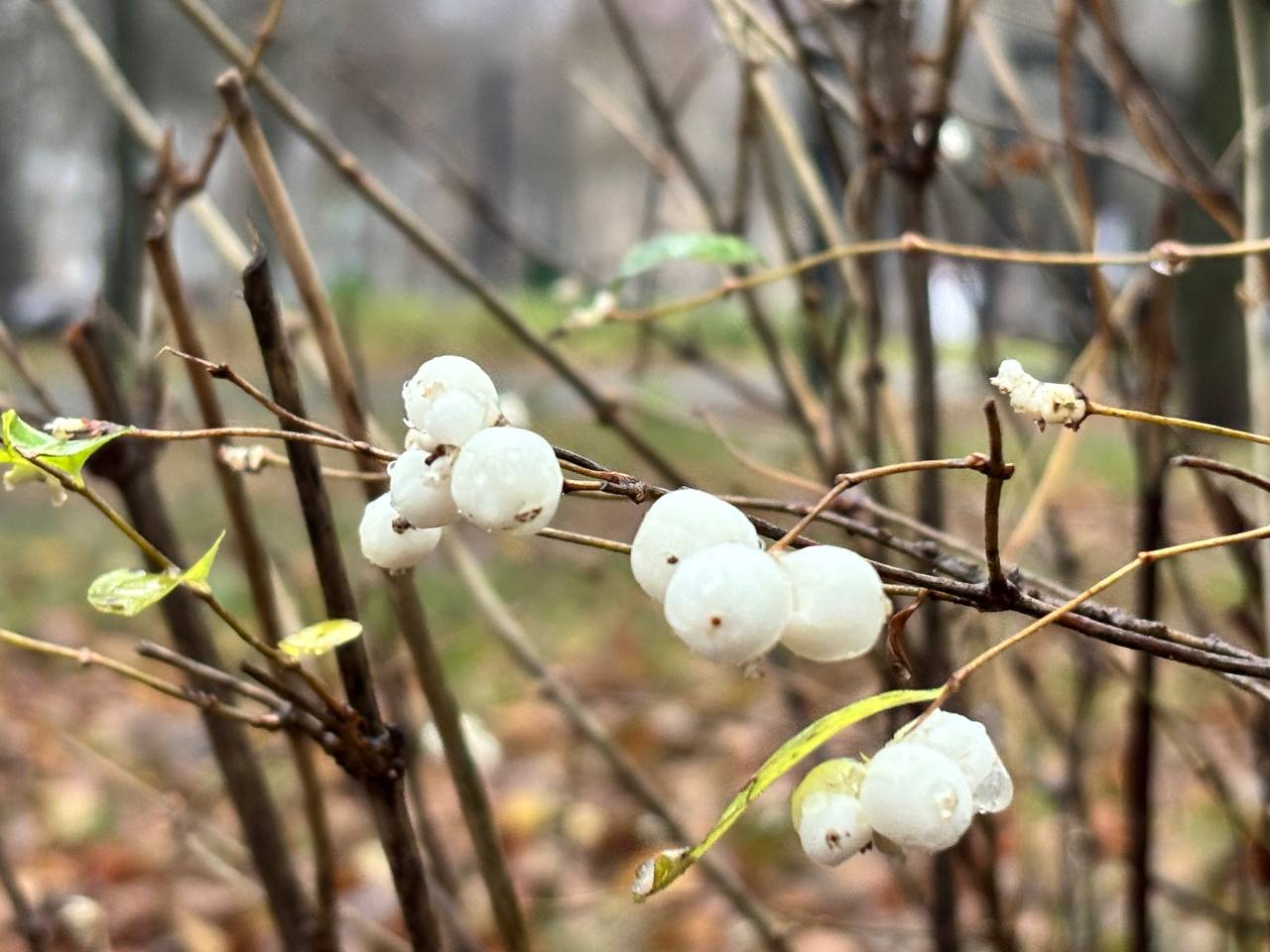 По информации ЕДДС и данным Мордовского центра по гидрометеорологии и мониторингу окружающей среды По информации ЕДДС и данным Мордовского центра по гидрометеорологии и мониторингу окружающей среды