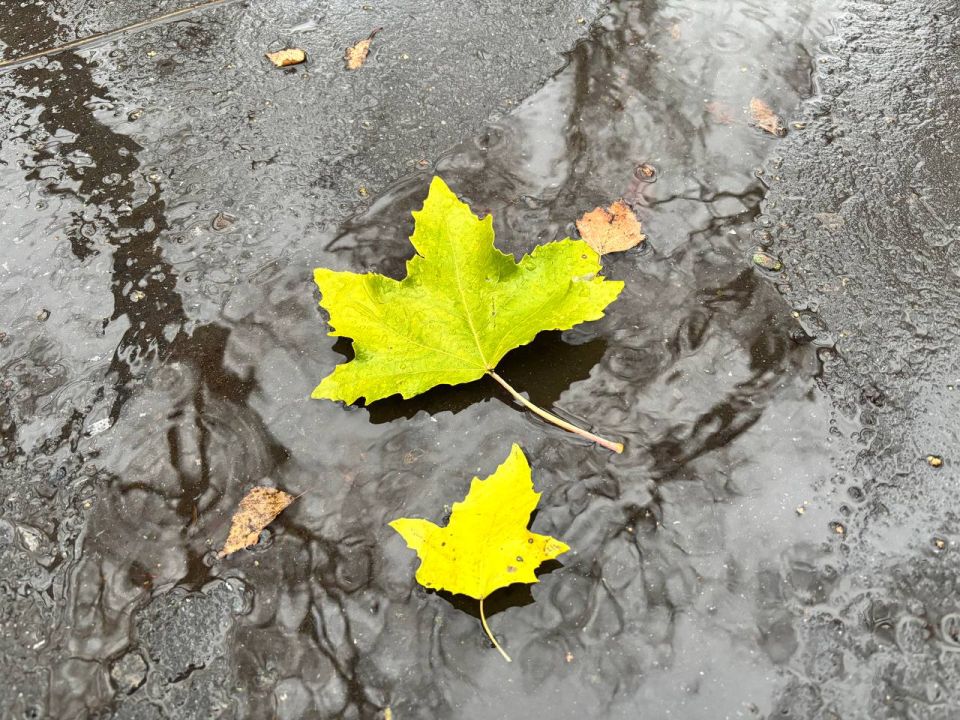 По информации ЕДДС и данным Мордовского центра по гидрометеорологии и мониторингу окружающей среды