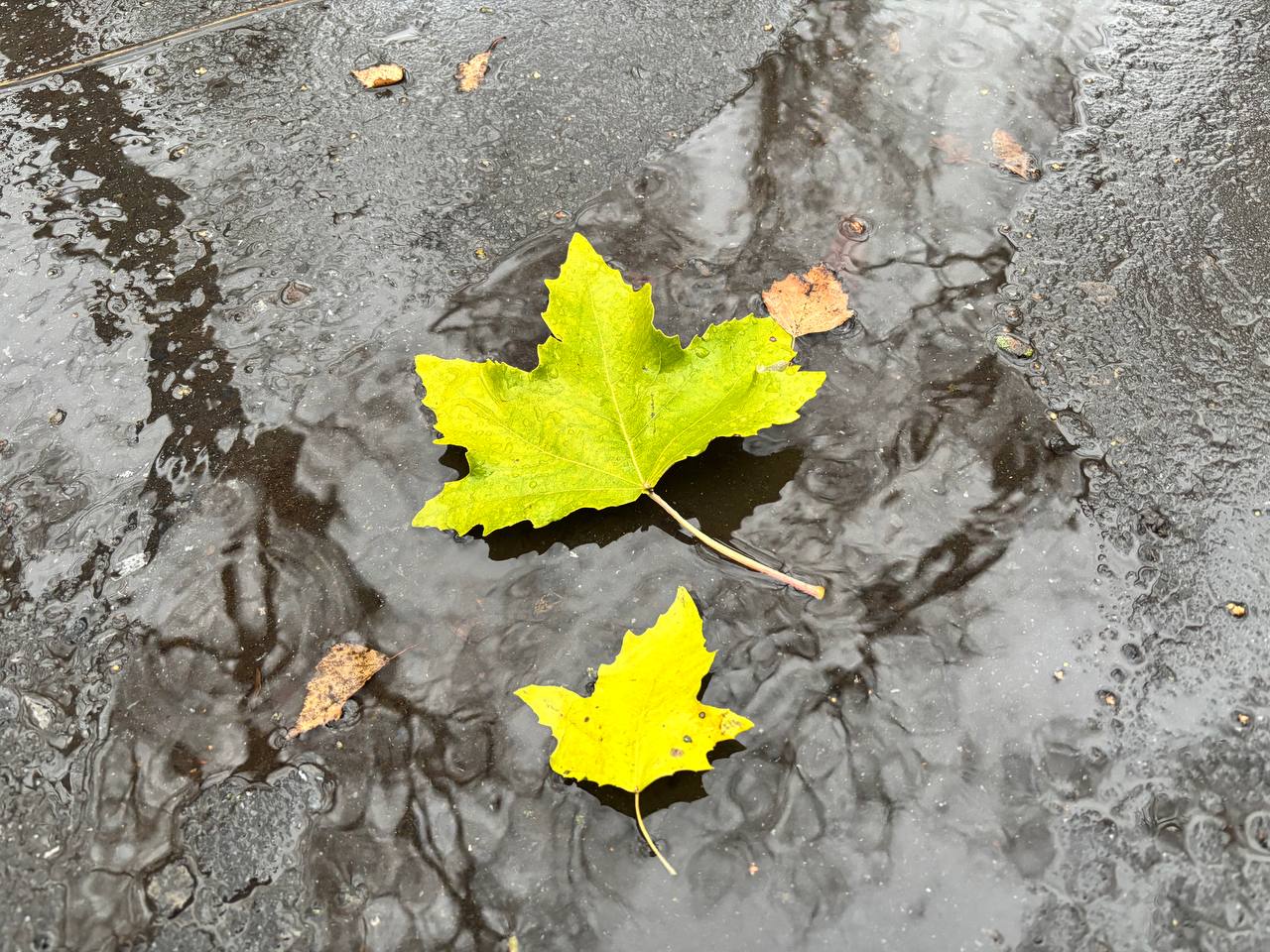 По информации ЕДДС и данным Мордовского центра по гидрометеорологии и мониторингу окружающей среды