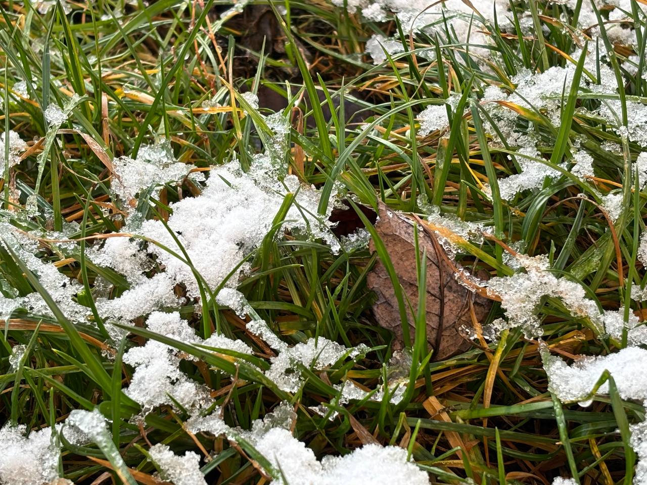 По информации ЕДДС и данным Мордовского центра по гидрометеорологии и мониторингу окружающей среды По информации ЕДДС и данным Мордовского центра по гидрометеорологии и мониторингу окружающей среды