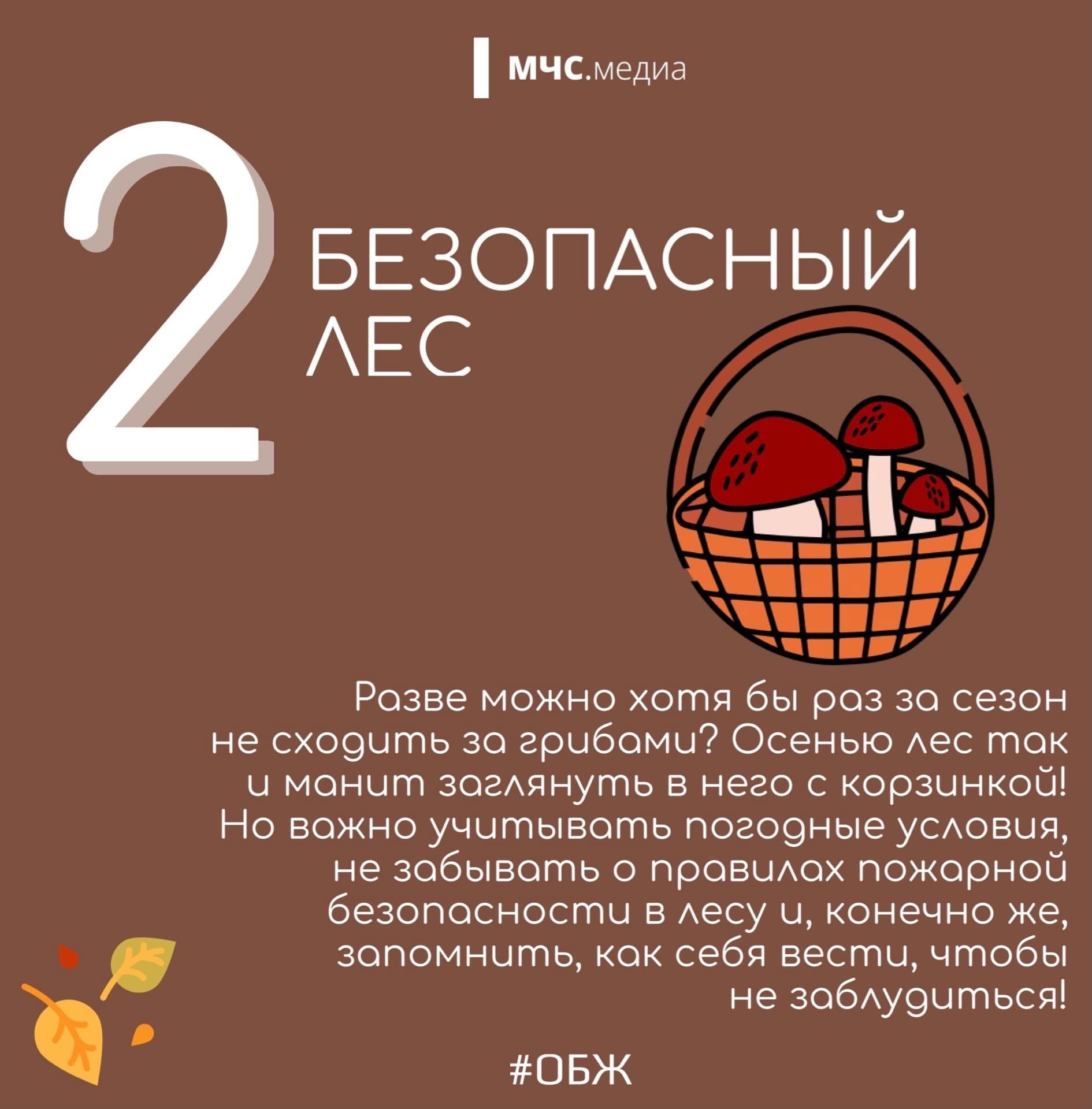 Как и любая другая пора, осень приносит с собой риски, требующие от нас повышенного внимания к вопросам безопасности Как и любая другая пора, осень приносит с собой риски, требующие от нас повышенного внимания к вопросам безопасности
