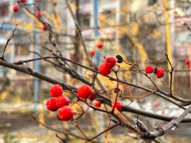 По информации ЕДДС и данным Мордовского центра по гидрометеорологии и мониторингу окружающей среды