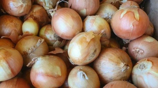 Что делать, чтобы лук не горчил в салате: уловки хитрых хозяек