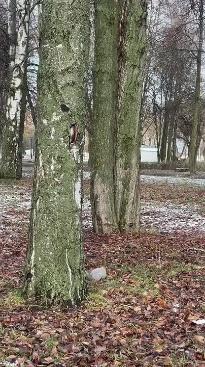 По информации ЕДДС и данным Мордовского центра по гидрометеорологии и мониторингу окружающей среды