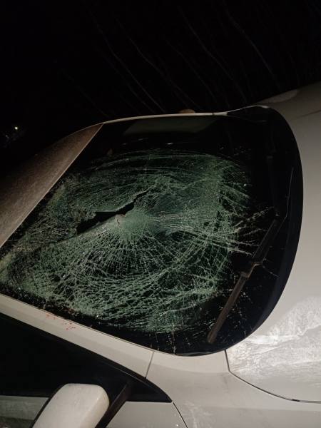 Информация о ДТП за 14-16 ноября на территории Республики Мордовия Информация о ДТП за 14-16 ноября на территории Республики Мордовия