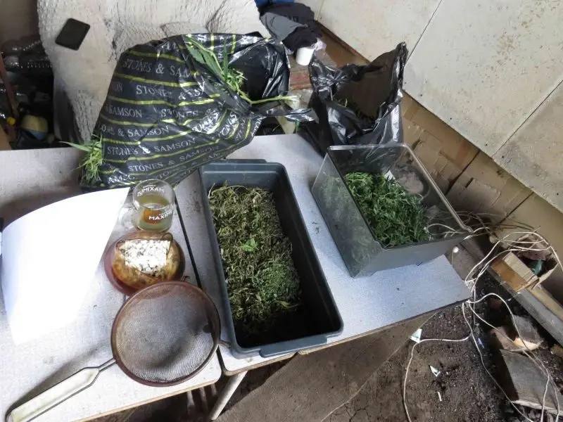 Житель Краснослободского района осужден за хранение более 750 граммов марихуаны