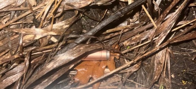 В Ромоданово проводится проверка по факту нарушения правил охоты