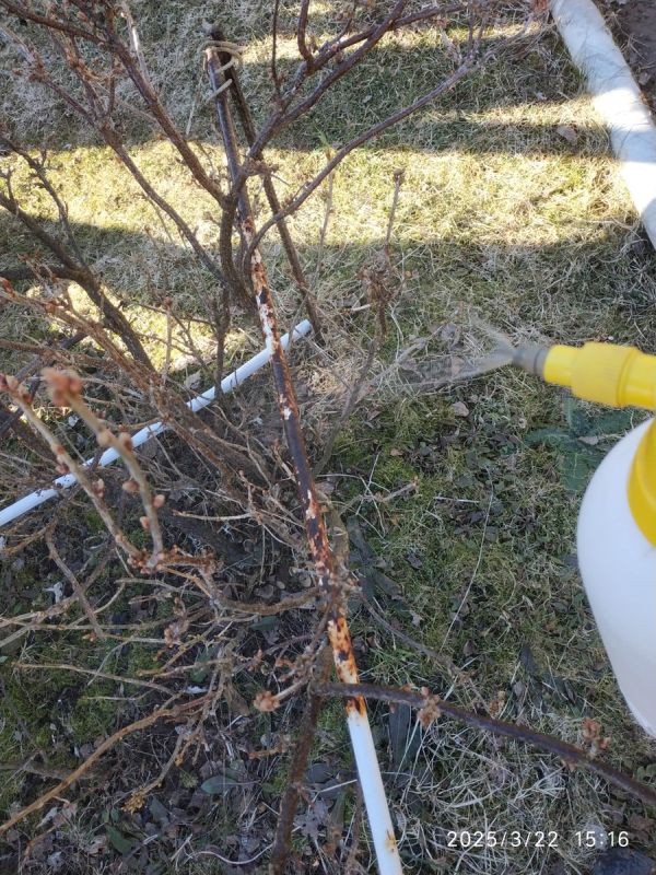 ����������� ������ ������ � �������� ������ �� ������ ���������