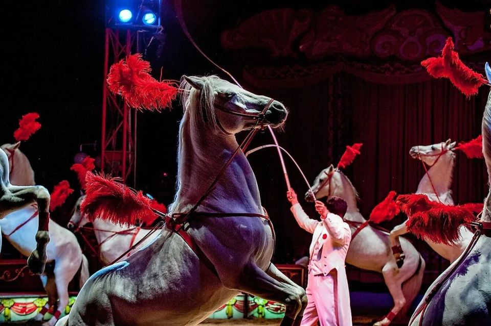 � ������ ����� ��������� ����� � ���������: ��� ������ ��� �������� �����������?