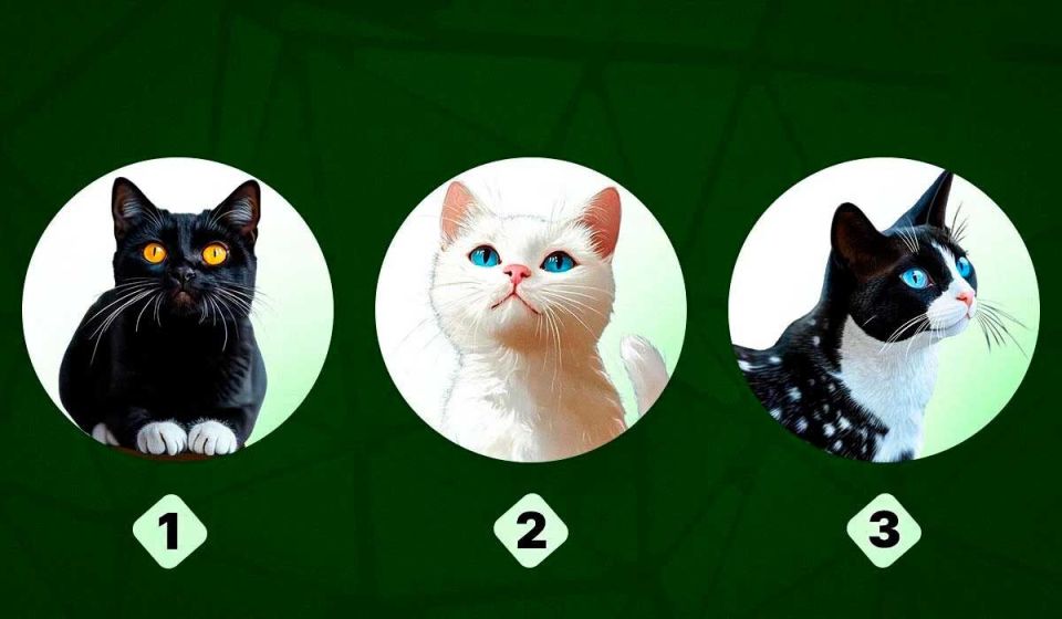 Определите свой характер с помощью забавного теста