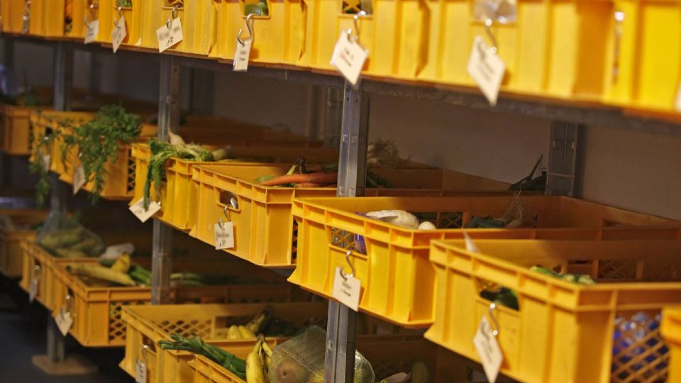 Овощи в подвале не перемерзнут даже в сильные морозы: сделайте с ними вот что