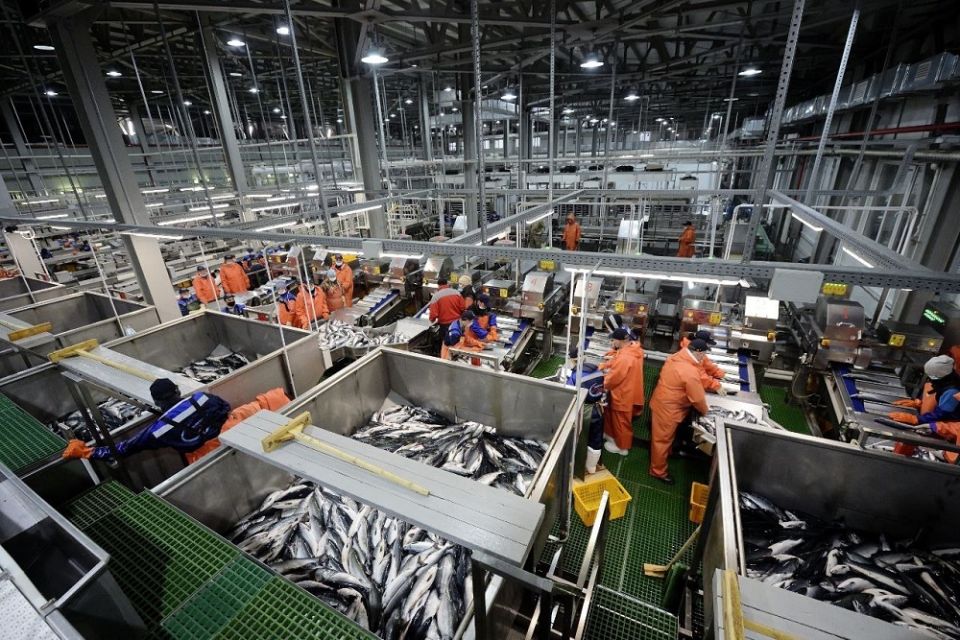 Что даст бизнесу новый преференциальный режим на Дальнем Востоке и в Арктике