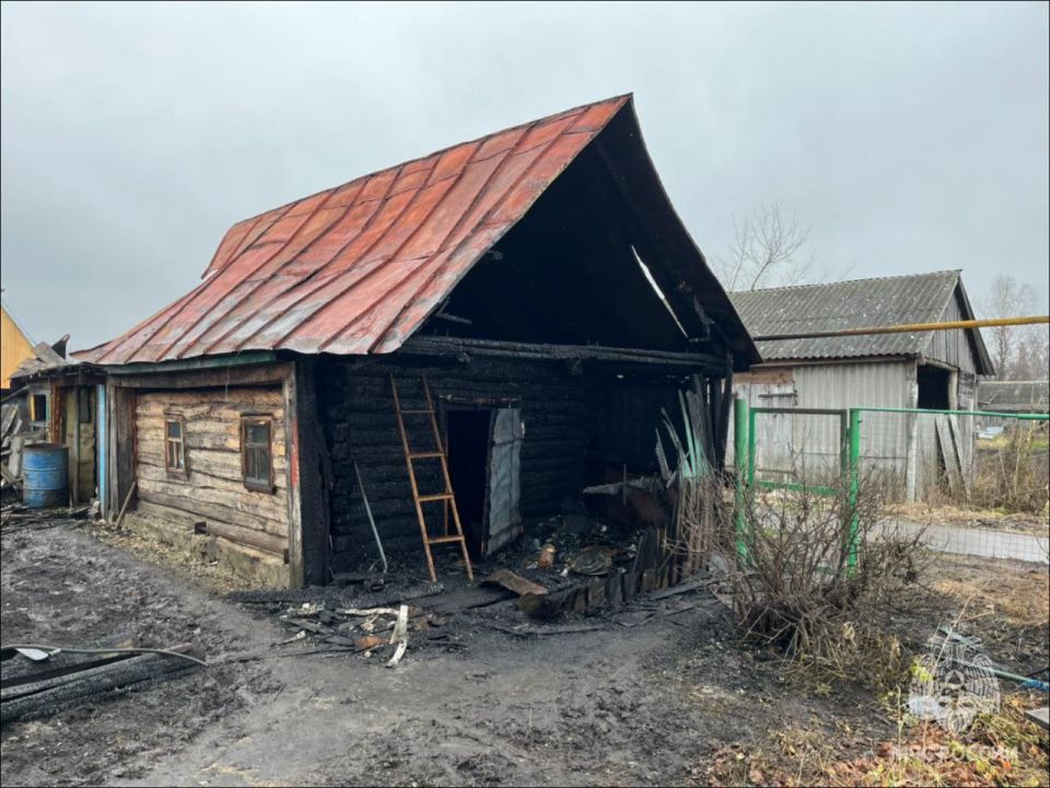В Инсаре горела баня. Происшествие случилось на улице Луговая В Инсаре горела баня. Происшествие случилось на улице Луговая