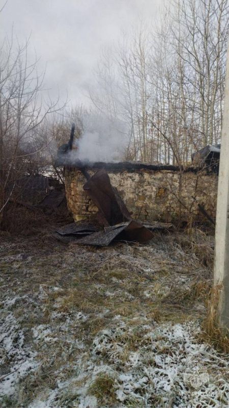 Плечом к плечу: добровольцы помогают тушить пожары Плечом к плечу: добровольцы помогают тушить пожары