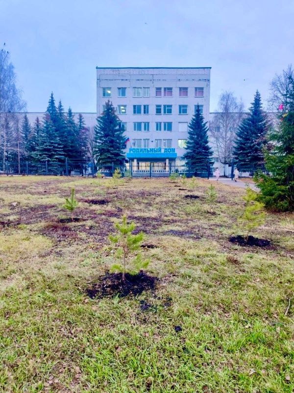 В Саранске продолжается осенняя высадка деревьев В Саранске продолжается осенняя высадка деревьев