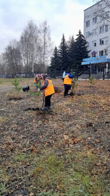 В Саранске продолжается осенняя высадка деревьев В Саранске продолжается осенняя высадка деревьев