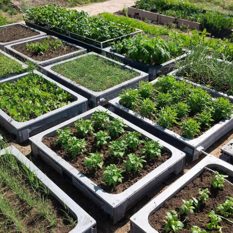 Как модульные грядки могут изменить вашу дачу навсегда