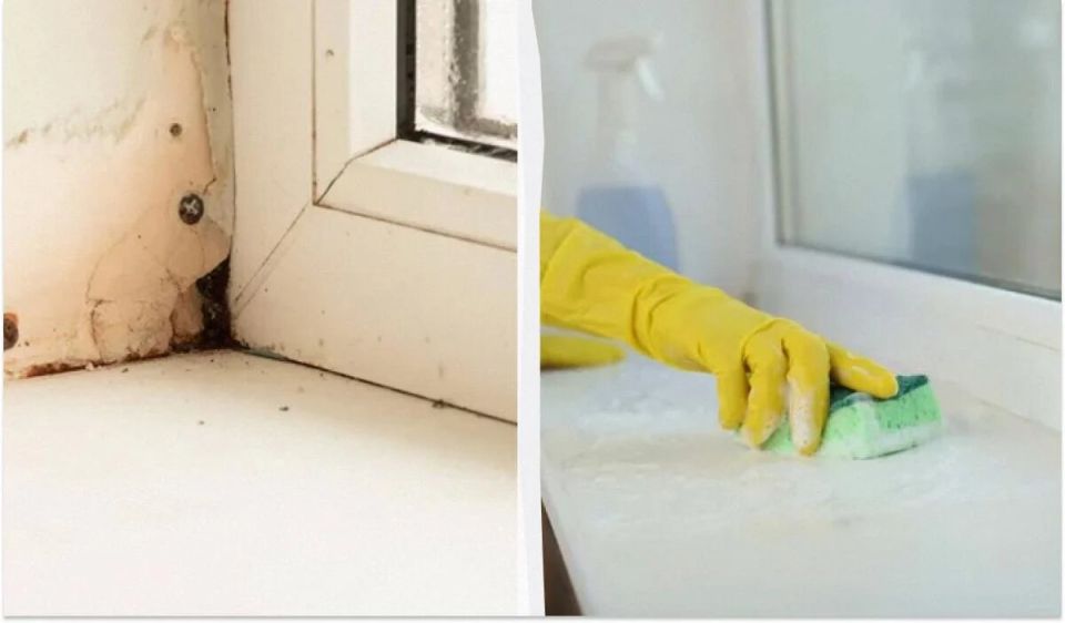 Как быстро и просто вернуть былую белизну подоконникам: простые рецепты