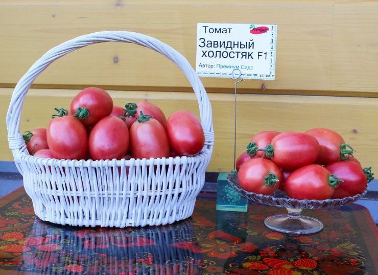 Лучшие новинки для вашего огорода: новые сорта перца, томатов и баклажанов