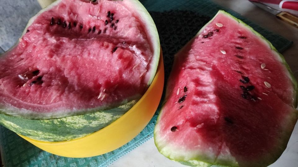 Как осень меняет дачные будни: дождь, цветы и борьба с пнями