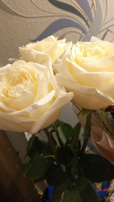 Советский опыт возвращается: новое распределение для медиков в условиях нехватки кадров