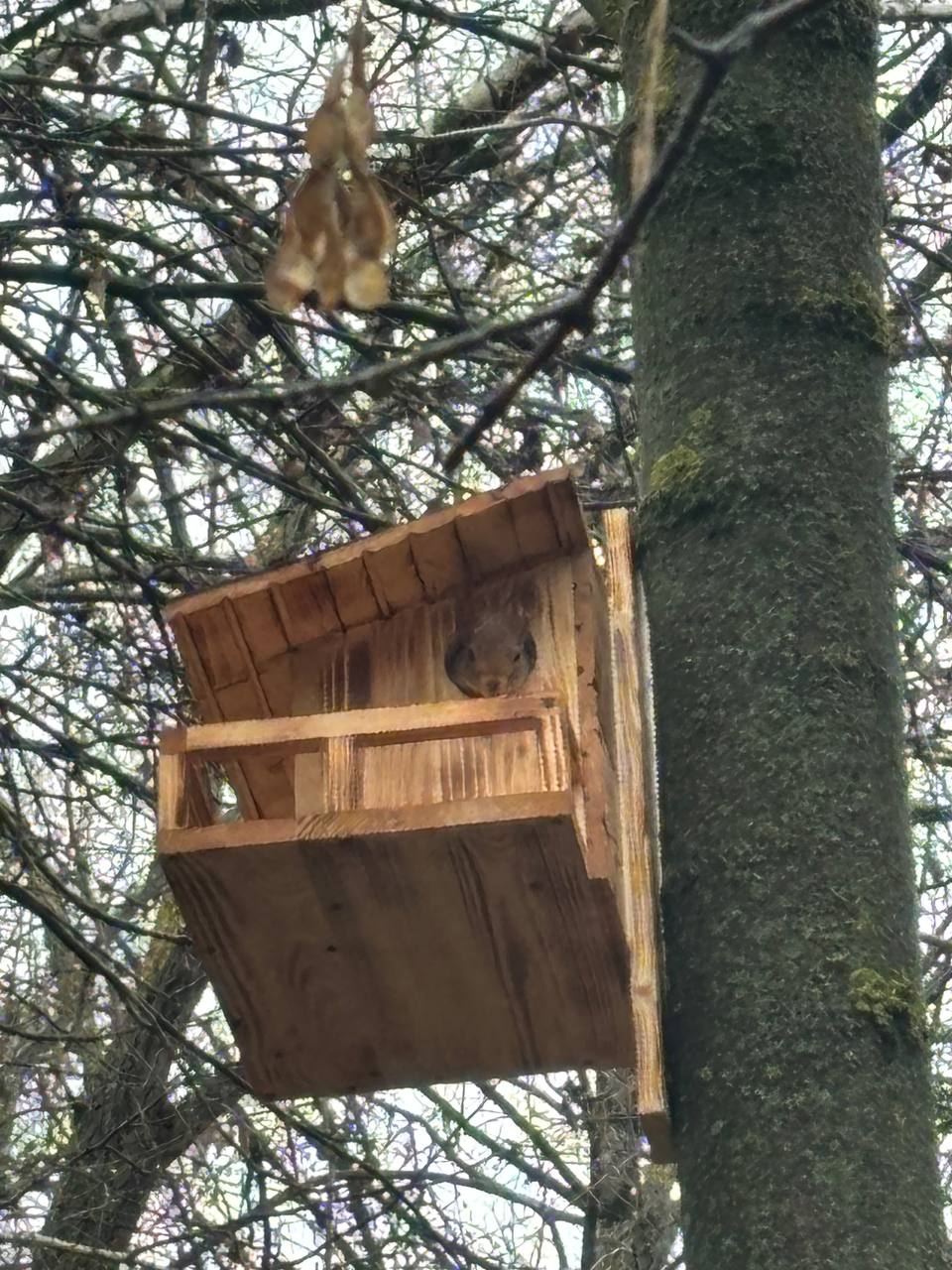 По информации ЕДДС и данным Мордовского центра по гидрометеорологии и мониторингу окружающей среды