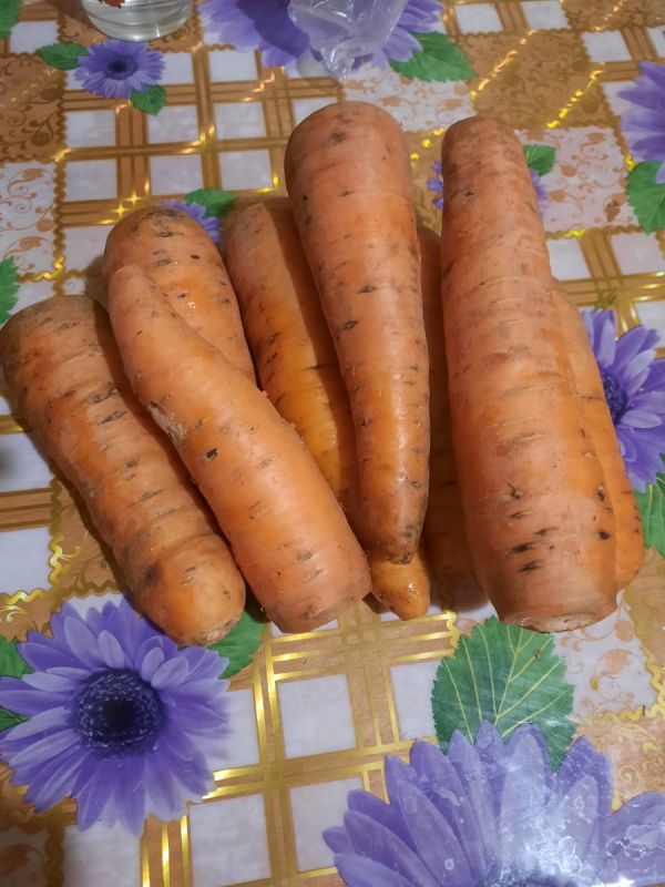 Морковка под зиму: секреты успешной посадки и урожая