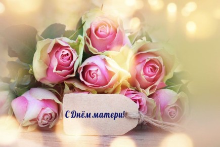 Поздравление Председателя Госсобрания Мордовии Владимира Чибиркина