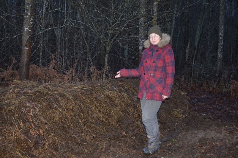 Эффективный способ раннего урожая огурцов: секреты сибирских грядок