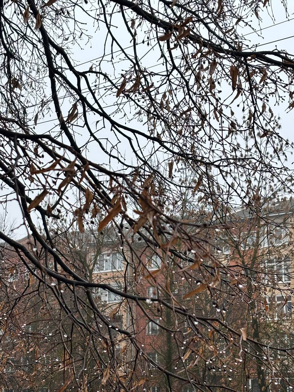 По информации ЕДДС и данным Мордовского центра по гидрометеорологии и мониторингу окружающей среды