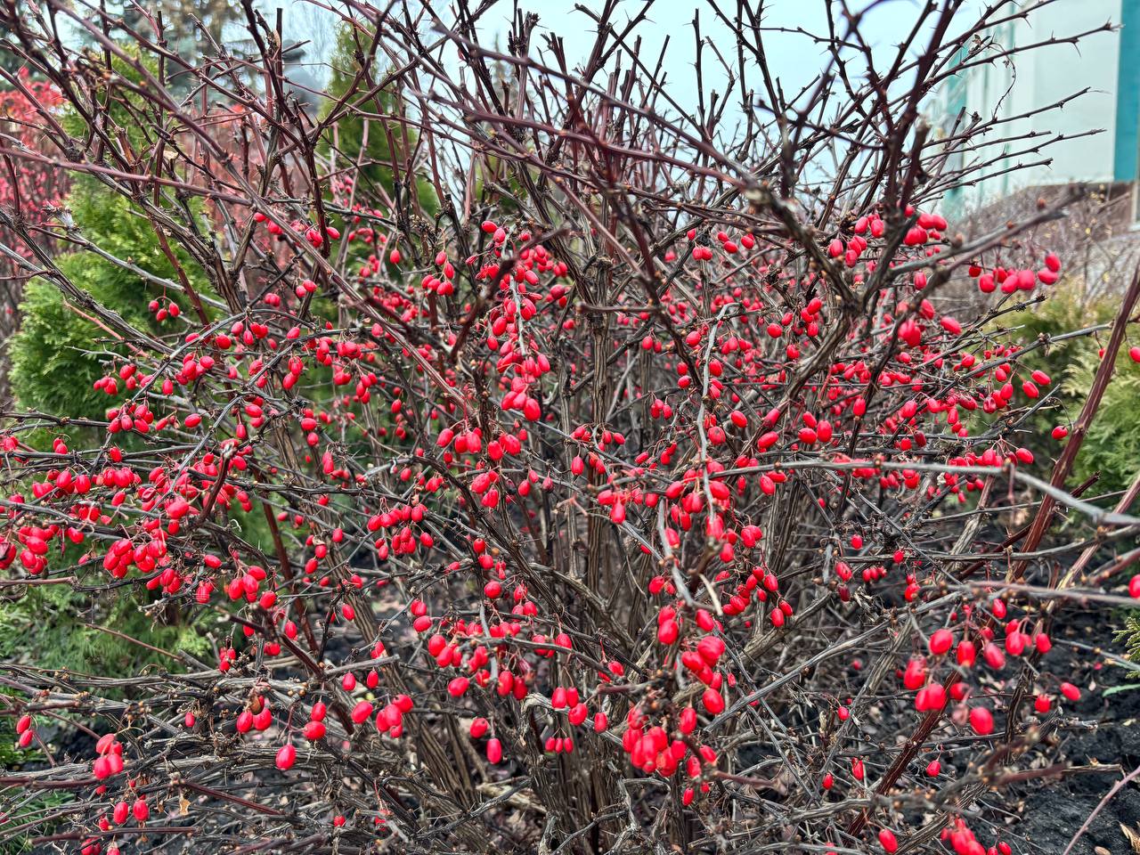 По информации ЕДДС и данным Мордовского центра по гидрометеорологии и мониторингу окружающей среды По информации ЕДДС и данным Мордовского центра по гидрометеорологии и мониторингу окружающей среды