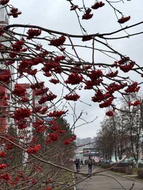 По информации ЕДДС и данным Мордовского центра по гидрометеорологии и мониторингу окружающей среды