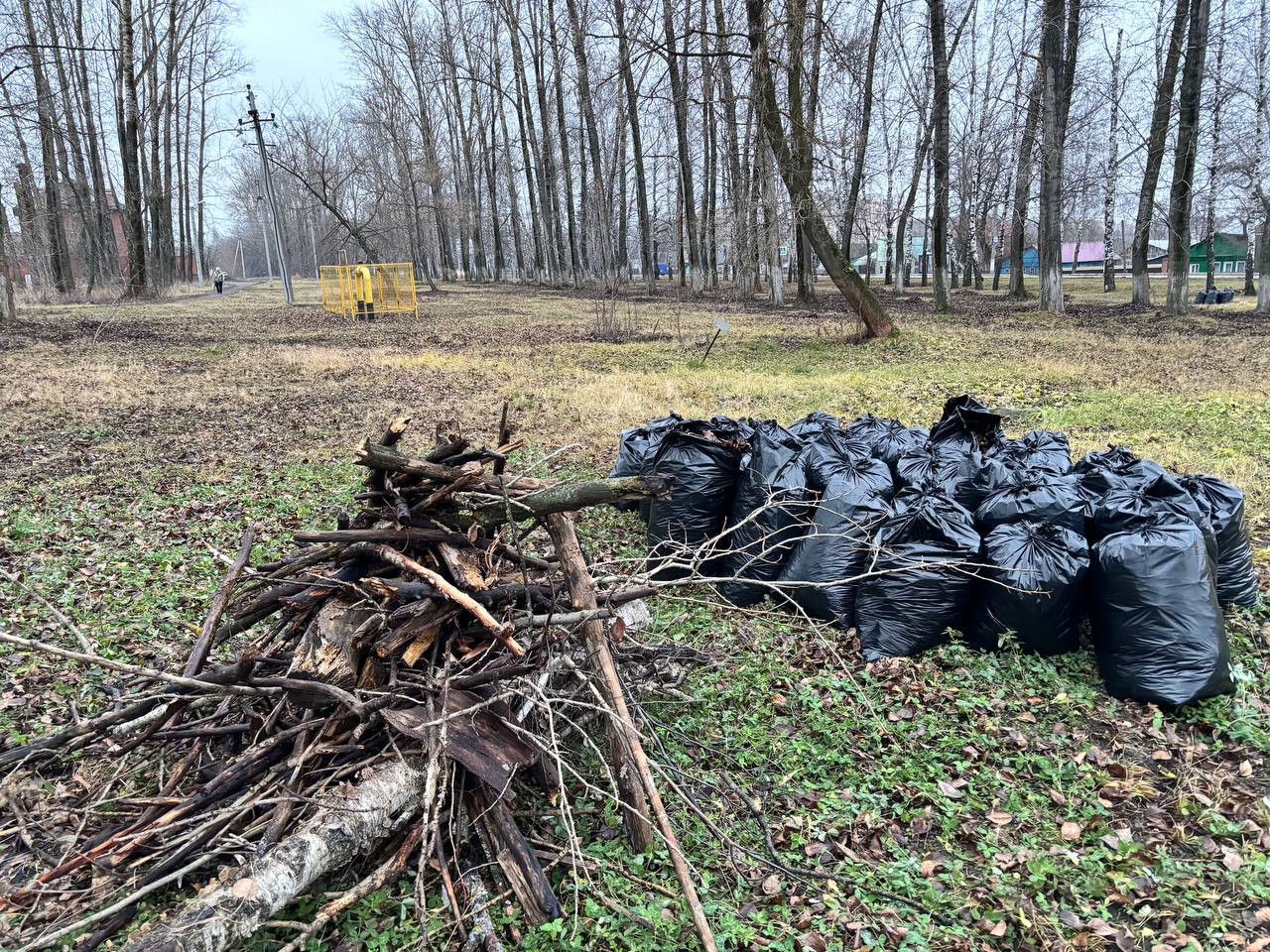 Сегодня сотрудники администрации городского округа Саранск приняли участие в зимнем субботнике Сегодня сотрудники администрации городского округа Саранск приняли участие в зимнем субботнике