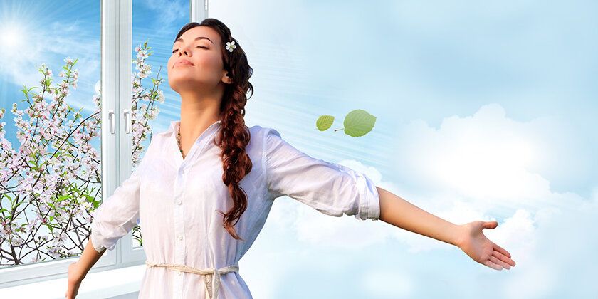 Как комнатные растения улучшают воздух: перечень для вашего дома