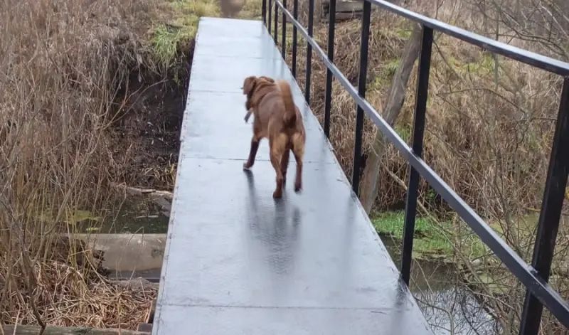 В селе Ямщина Инсарского района Мордовии есть своя речка-невеличка под названием Тарса