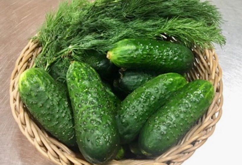 Как превратить первый огурец в гастрономический ритуал