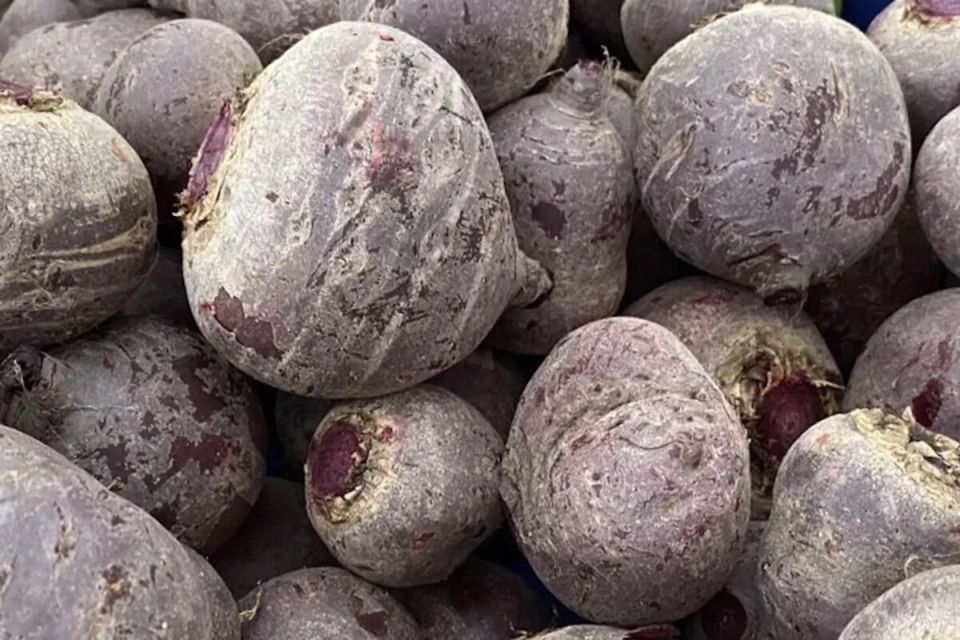 Осень в тарелке: пять суперпродуктов для крепкого иммунитета