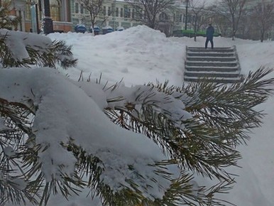 Новые законы ноября 2025: что ждёт россиян