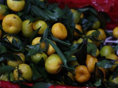 Необычная контрабанда: тонну мандаринов замаскировали под виноград