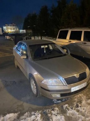 Двое жителей Мордовии обвиняются в незаконном обороте пневматического оружия с повышенной дульной энергией