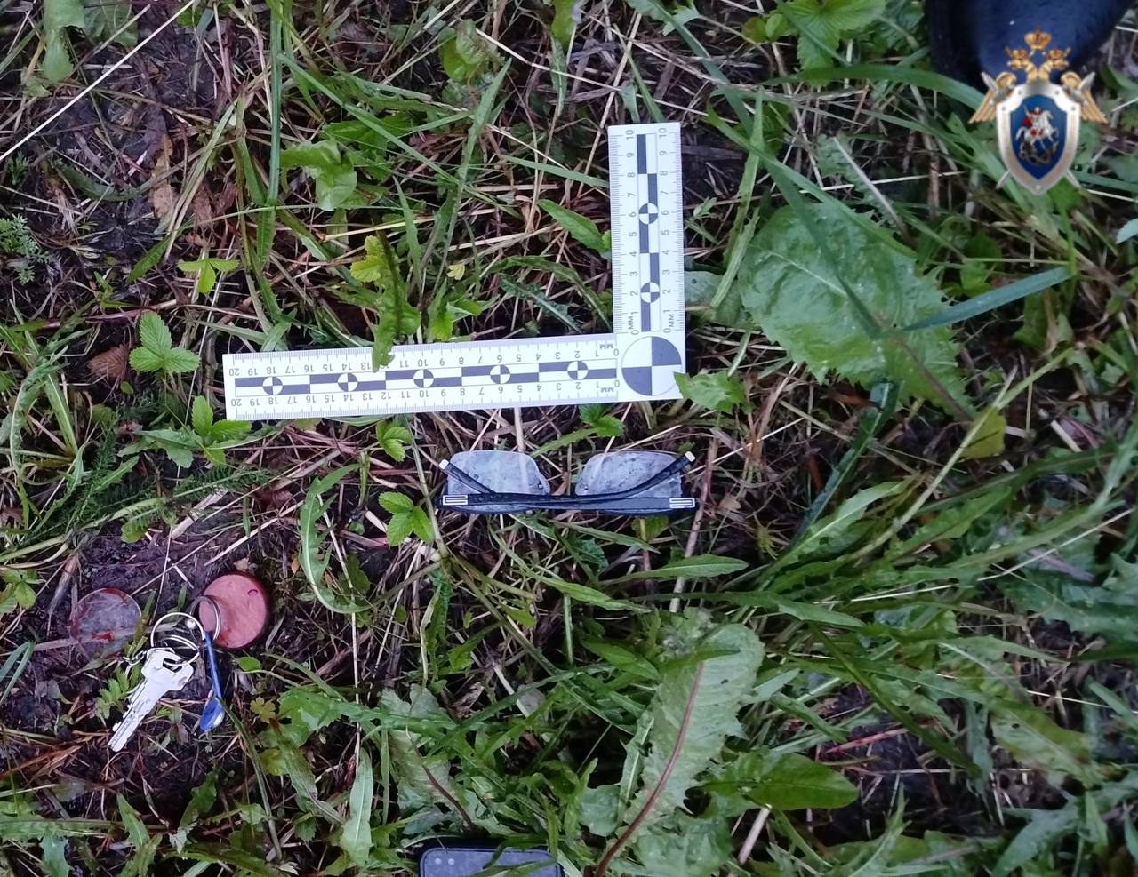 В Саранске мужчина признан виновным в убийстве знакомого В Саранске мужчина признан виновным в убийстве знакомого