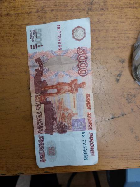 В Мордовии местный житель признан виновным в хранении и сбыте поддельных пятитысячных купюр на территории региона и краже из магазина