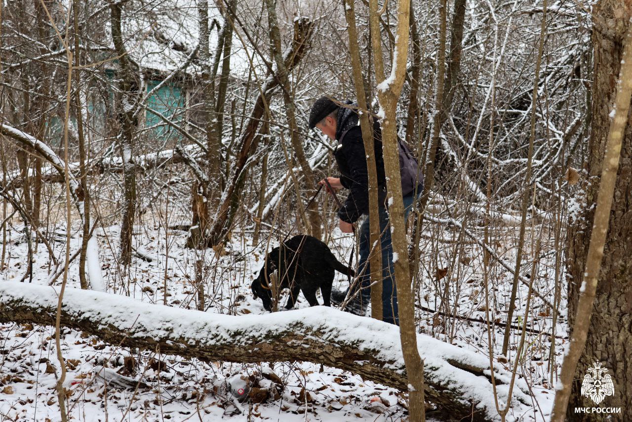 Спасатели МЧС России отработали сценарий поиска людей в природной среде Спасатели МЧС России отработали сценарий поиска людей в природной среде